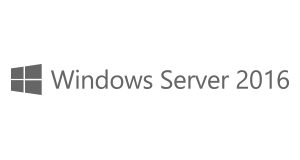 MS Windows Server